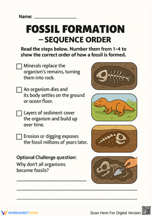 Fossil Formation – Sequence Order