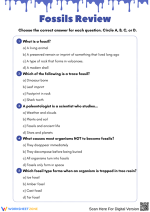 Fossils Review Multiple-Choice Worksheet