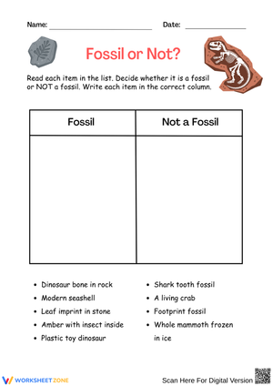 Fossil or Not Sorting Worksheet