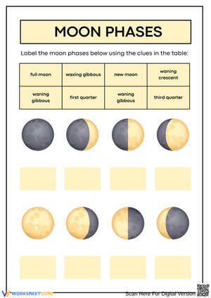 Moon Phases Labeling Worksheet