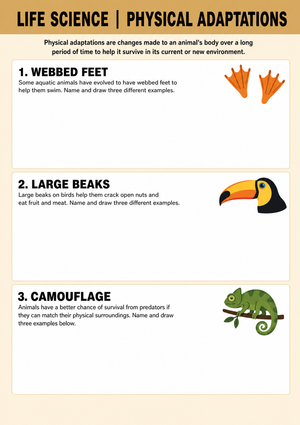 Physical Adaptations Worksheet | Grade 6-9 Essential