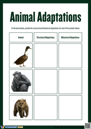 Animal Adaptations: Structural & Behavioral Traits