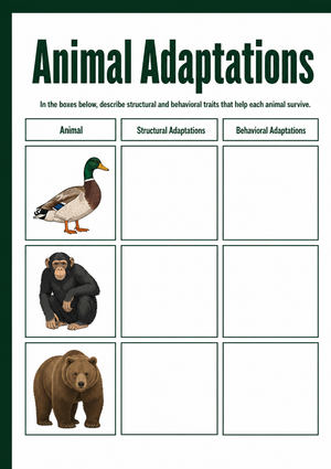 Grade 7 Animal Adaptations — Printable No-Prep Worksheet