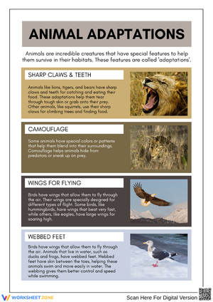Animal Adaptations Chart