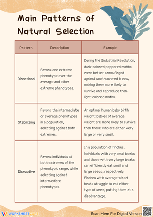 Main Patterns of Natural Selection Worksheet