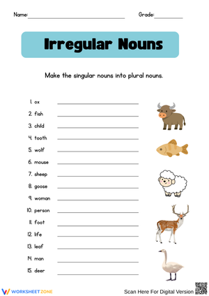 Irregular Plural Nouns Practice Worksheet