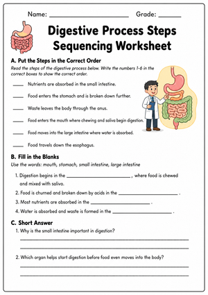 Printable Digestive Process Worksheet | Grade 4