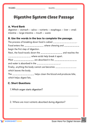 Digestive System Close Passage – Fill in the Blanks