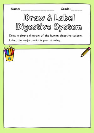 Grade 6 Digestive System — Printable No-Prep Worksheet
