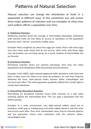 Patterns of Natural Selection – Practice Questions Worksheet