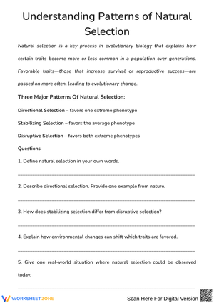 Patterns of Natural Selection – Worksheet & Guided Notes