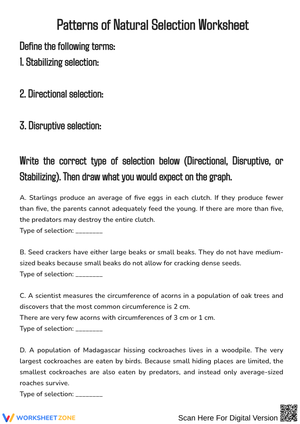 Patterns of Natural Selection 