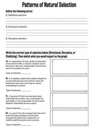 Patterns of Natural Selection Worksheet | Essential Biology