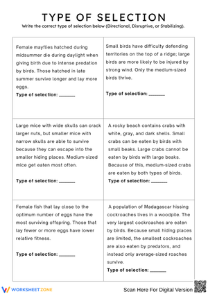 Patterns of Natural Selection – Type of Selection Identification Worksheet