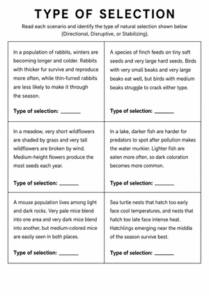 Natural Selection Patterns Worksheet | Essential Grade 9-12