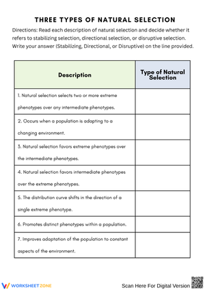 Three Types of Natural Selection – Classification Practice Worksheet