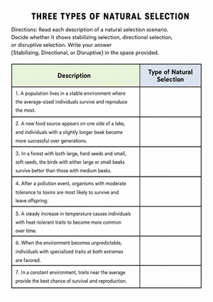 Printable Natural Selection Types Worksheet | Grades 7-12