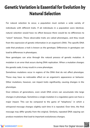 Genetic Variation & Natural Selection – Comprehension Questions Worksheet