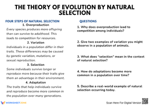 The Theory of Evolution by Natural Selection – Steps & Comprehension Questions Worksheet