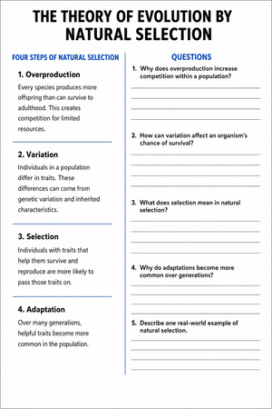 Natural Selection Steps Worksheet | Grade 7-10 Essential