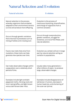 Natural Selection vs. Evolution – Comparison Chart & Discussion Questions