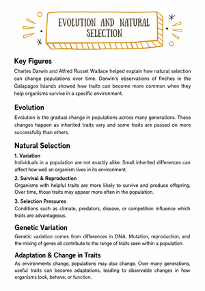 Evolution and Natural Selection — Essential Worksheet