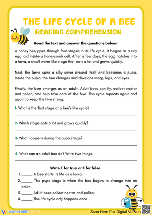 Bee Life Cycle Reading Comprehension