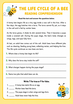 Grade 3 Bee Life Cycle — Printable No-Prep Worksheet