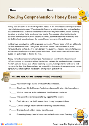 Honey Bees – Advanced Reading Comprehension