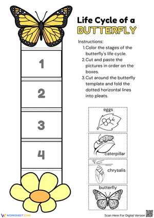 Life Cycle of a Butterfly – Cut, Color, and Arrange the Stages