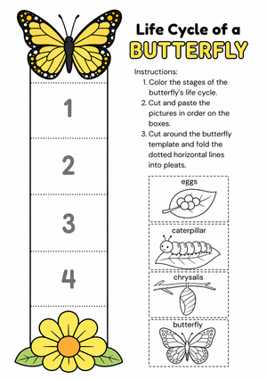 Butterfly Life Cycle Worksheet | Grade 2 Essential