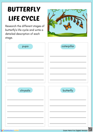 Butterfly Life Cycle – Research and Write