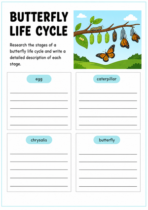Butterfly Life Cycle Essential Research Worksheet | Grade 3