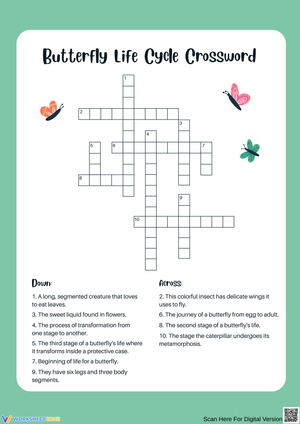 Butterfly Life Cycle Crossword Puzzle
