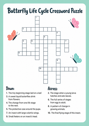 Butterfly Life Cycle Crossword | Grade 3 Printable