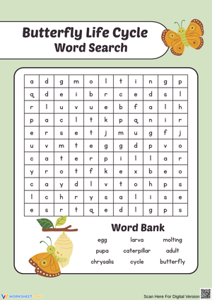 Butterfly Life Cycle Word Search