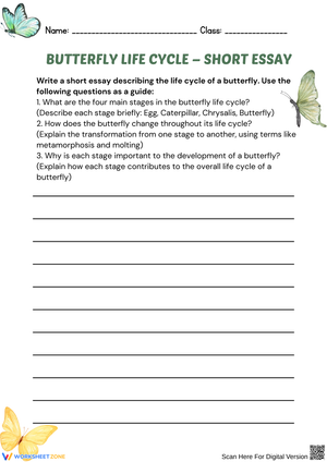 Butterfly Life Cycle – Short Essay