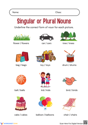 Singular or Plural Nouns – Picture Identification
