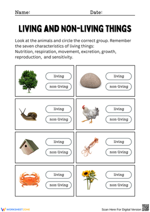 Living and Non-Living Things – Circle the Correct Group
