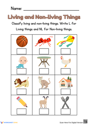 Living & Non-Living Things – L / NL Classification Boxes