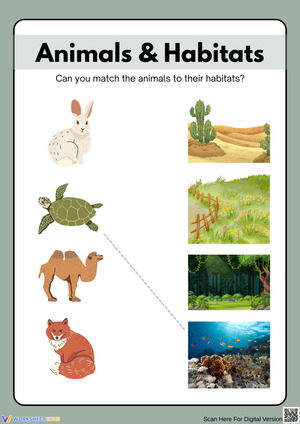 Animals & Habitats – Match the Animal to Its Home