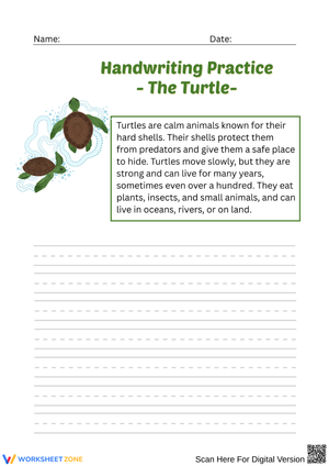 Handwriting Practice: The Turtle