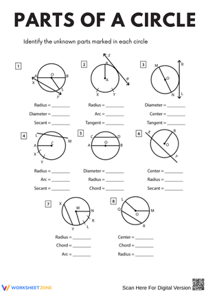 Parts of a Circle Identification Worksheet