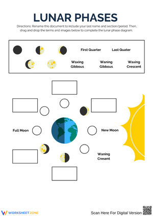 Lunar Phases Drag-and-Drop Diagram Worksheet