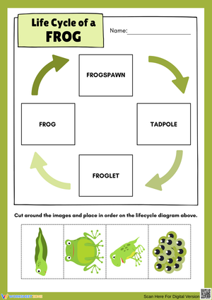 Frog Life Cycle Cut-and-Paste Diagram