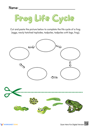 Frog Life Cycle Cut-and-Match Activity