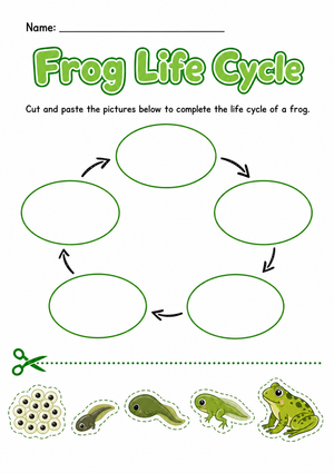 Frog Life Cycle Printable Worksheet | Grade 1-2 Science