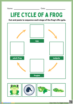 Life Cycle of a Frog Sequencing Cut-and-Paste Worksheet