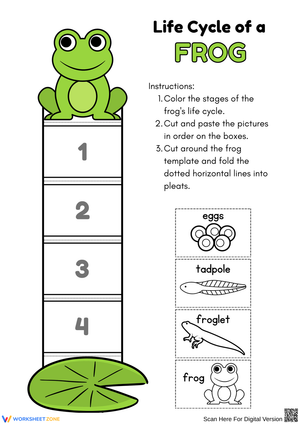 Frog Life Cycle Standing Craft Worksheet
