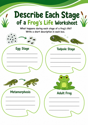 Grade 3 Frog Life Cycle — Printable No-Prep Worksheet